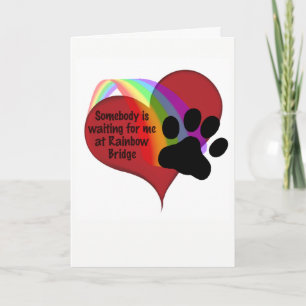 Carte Quelqu'un m'attend à Rainbow Bridge Cat