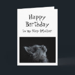 Carte Quelqu'un que j'admire Belle-Mère Anniversaire Cha<br><div class="desc">Quelqu'un que je regarde ou admire Belle-Mère Anniversaire Animal Humour Il y a beaucoup de place pour ajouter votre propre message</div>