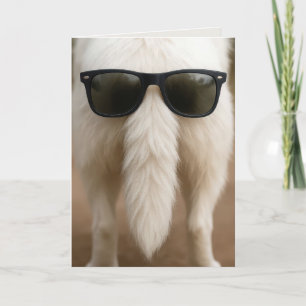 Carte Queue d'un chien d'anniversaire avec des lunettes