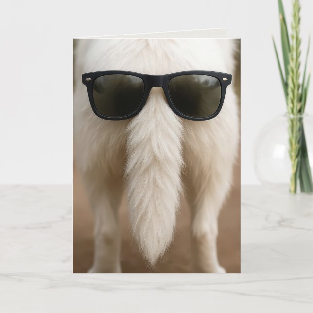 Carte Queue d'un chien d'anniversaire avec des lunettes  (Devant)