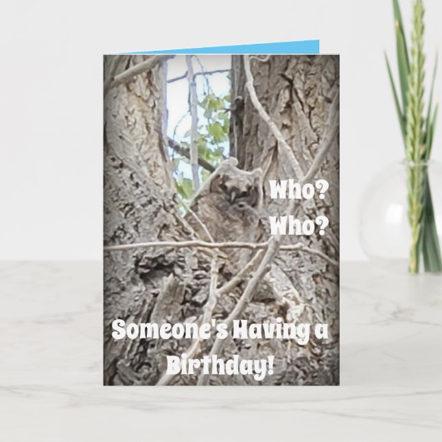 Carte Qui a un bébé Hibou dans l'arbre (Devant)