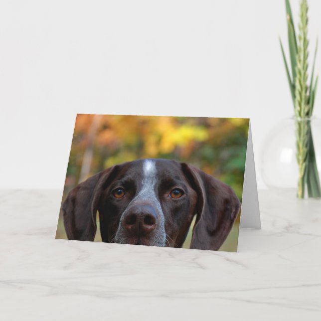 Carte Qui Dat Dog ? (Devant)