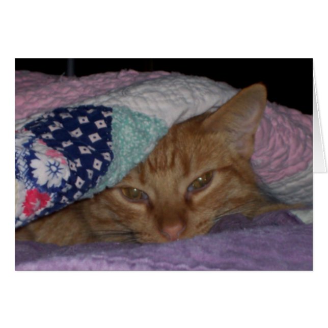 Carte quotidienne "de câlin venu" (Devant horizontal)