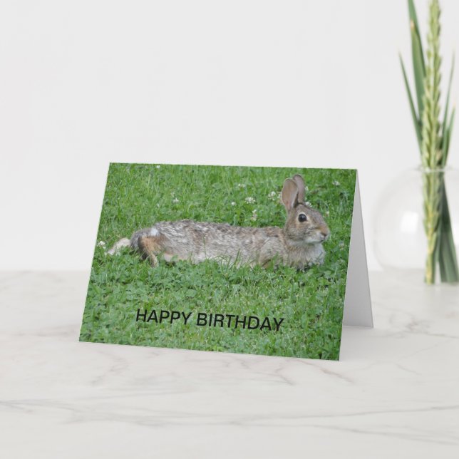 Carte Rabbit, Birthday (Devant)