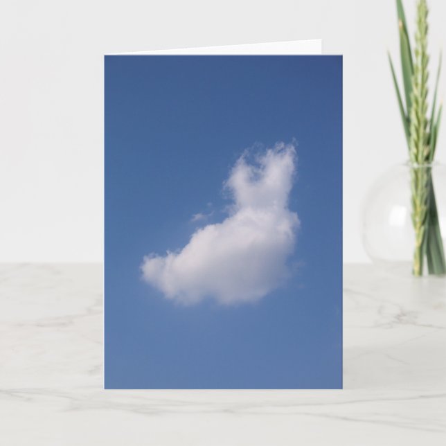 Carte Rabbit float (Devant)