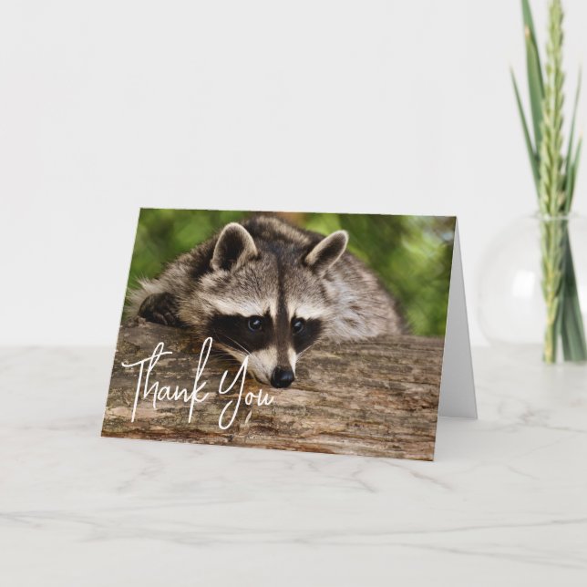 Carte Raccoon mignon reposant sur un Merci de journal (Devant)