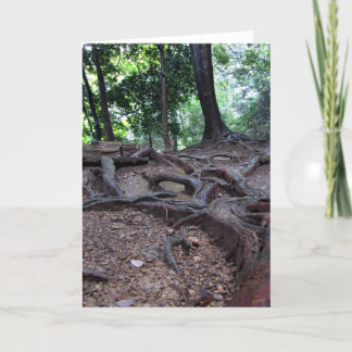 Carte Racines d'arbre sur Mt. Kurama