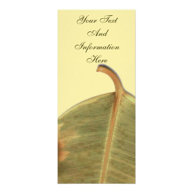 Carte rack de congé vert (Devant)