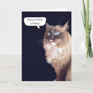 Carte Ragdoll Chat Humour d'anniversaire