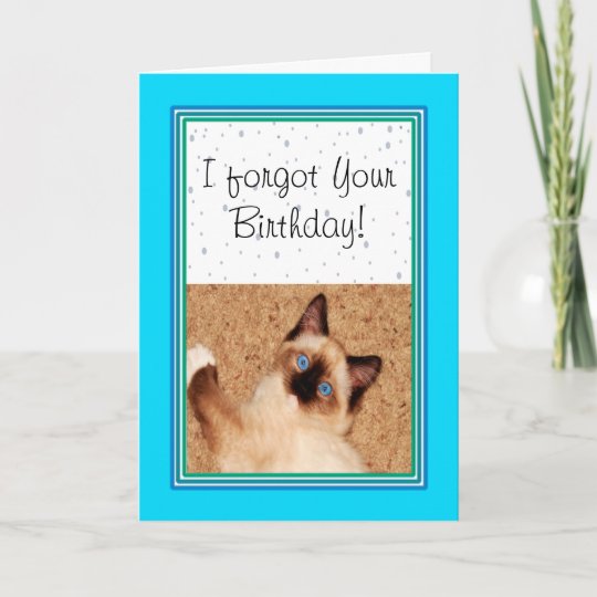 Carte Ragdoll Kitten Joyeux Anniversaire Belge Zazzle Fr