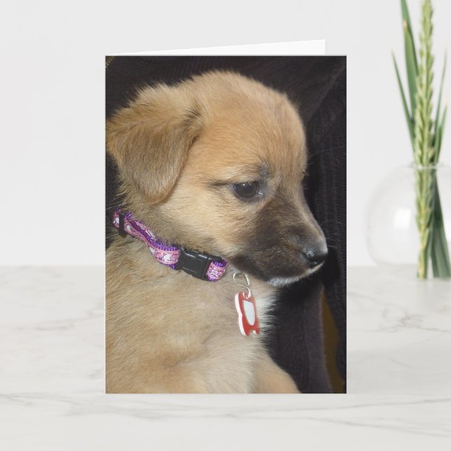 Carte Rahja (Devant)