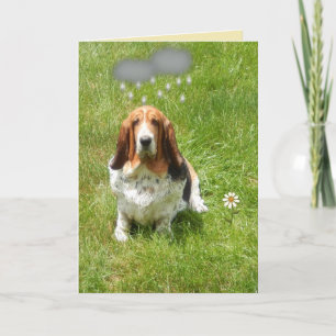 Carte Rain On Funny Birthday Card W/Basset Hound
