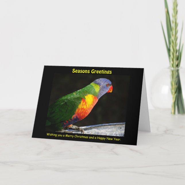 Carte Rainbow Lorikeet Xmas (Devant)