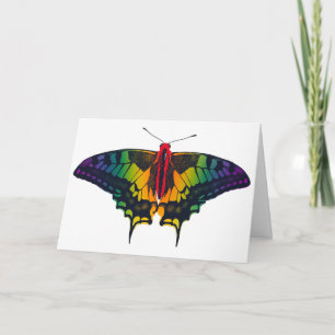 Carte Rainbow Pride Flag Swallowtail Butterfly