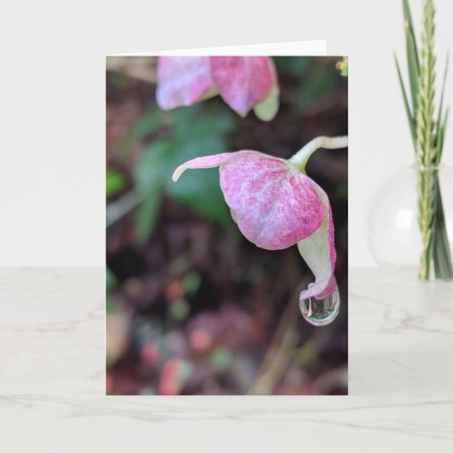 Carte Raindrops Collection #3 Card (Devant)