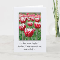 Raindrops sur Tulips Sympathy