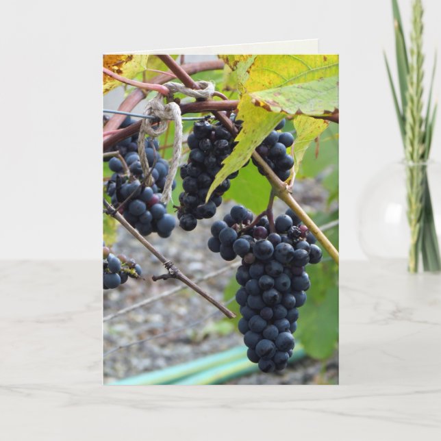 Carte Raisins dans une cave (Devant)