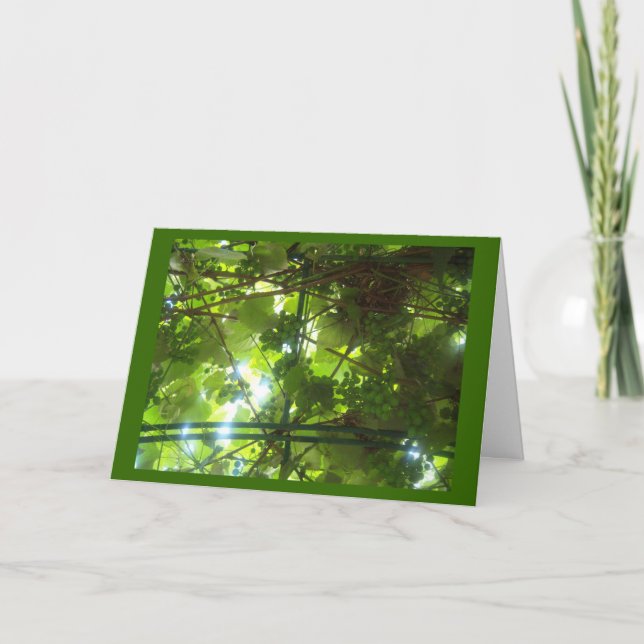 Carte Raisins de patience à la frontière (Devant)