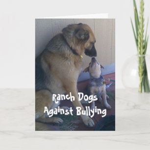 Carte Ranch Dogs Against Bullying