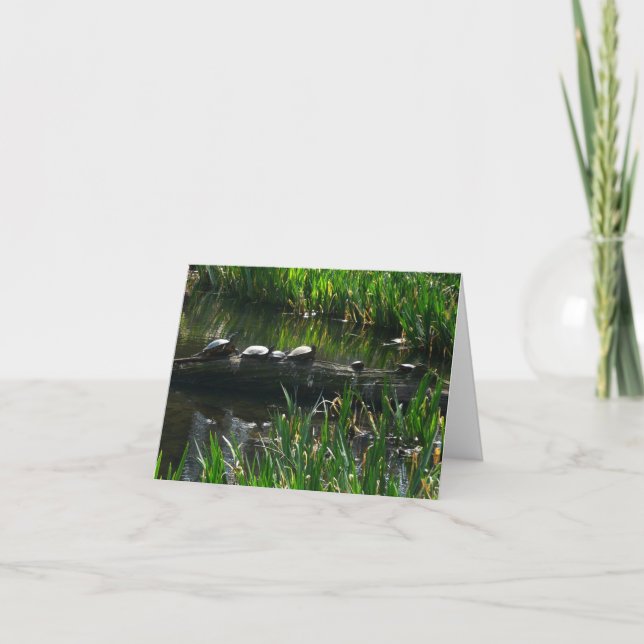 Carte Rangée de tortues Green Nature Photo (Devant)