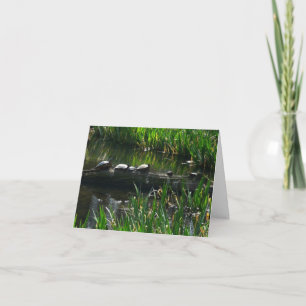 Carte Rangée de tortues photo de la nature verte
