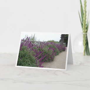 Carte Rangée pourpre