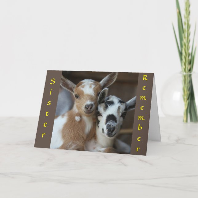 CARTE RAPPELEZ-VOUS QUAND NOUS ÉTIONS UNE SOEUR POUR ENF (Devant)