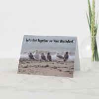 Rassembler les oiseaux de goélands marins Annivers