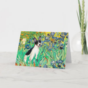 Carte Rat Terrier - Iris