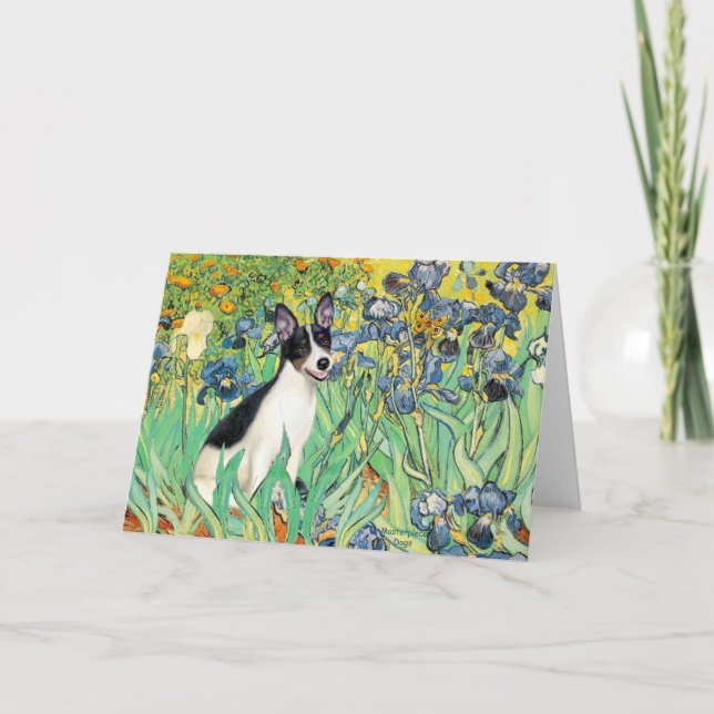 Carte Rat Terrier - Iris (Devant)