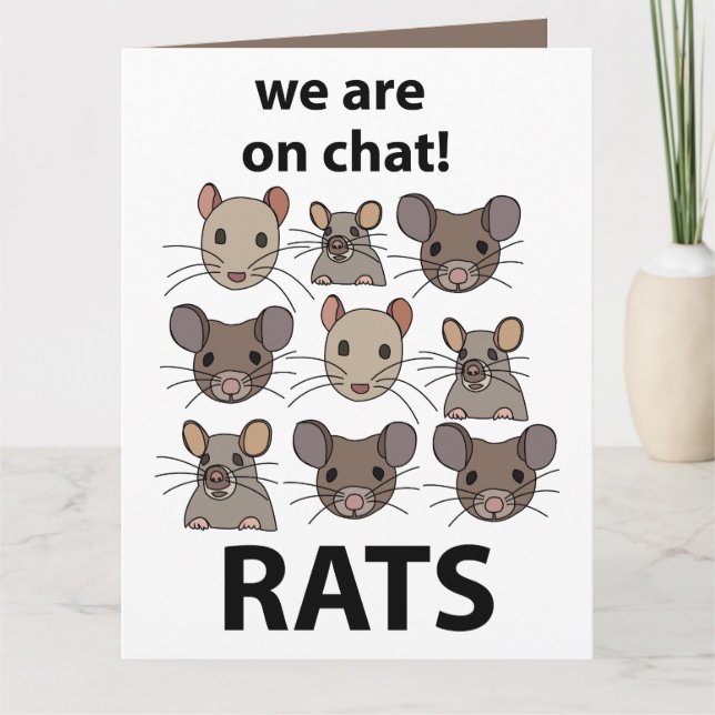 Carte Rats Animal Nous Sommes Sur Conversation Rats Drôl (Devant)