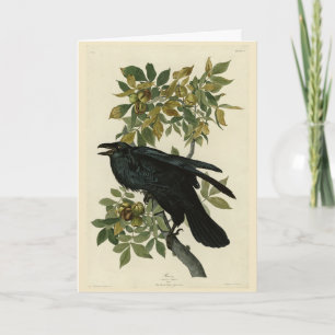 Carte Raven