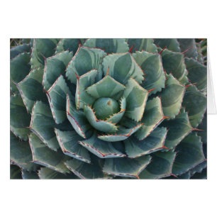 Carte rayée d'agave