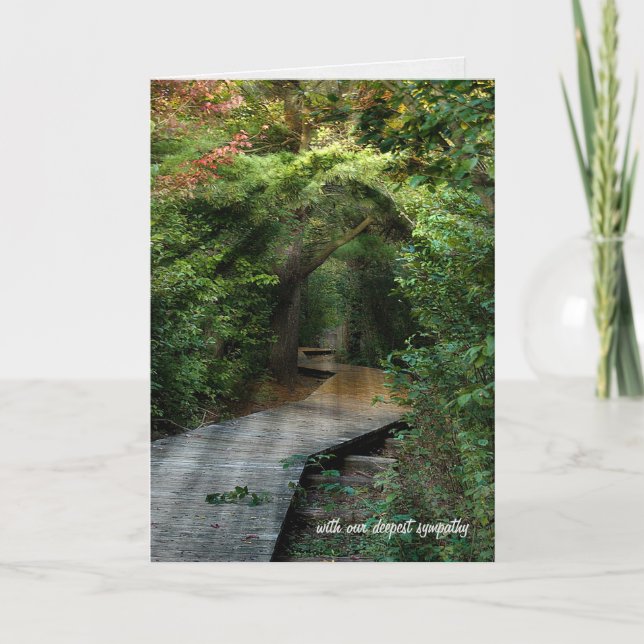 Carte Rayons de soleil dans les bois Sympathie (Devant)