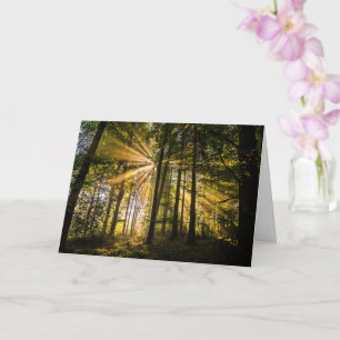 Carte Rayons ensoleillés de forêt enchantés 1