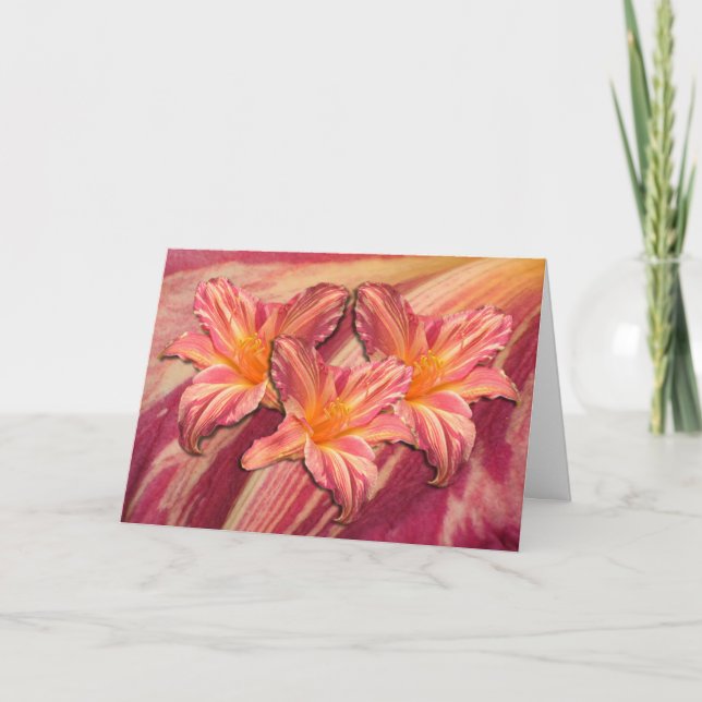 Carte Rayures roses de Daylily ' (Devant)