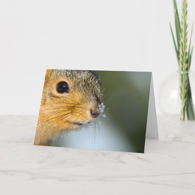 Carte Ready for spring (Devant)