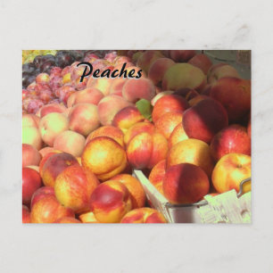 Carte Recette - Pêche