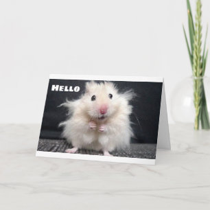 CARTE RECHERCHÉ DE DIRE **JOLI ANNIVERSAIRE** UNE CUTIE 