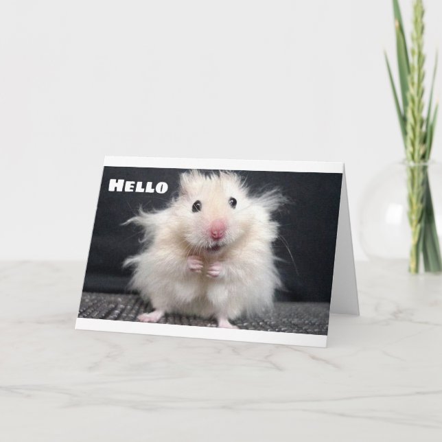 CARTE RECHERCHÉ DE DIRE **JOLI ANNIVERSAIRE** UNE CUTIE  (Devant)