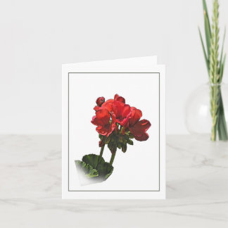 Carte Red Geranium Botanical Sketch Note