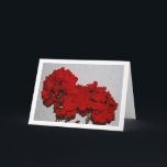 Carte Red Geranium Flowers, Floral Portrait<br><div class="desc">Red Geranium Flowers,  Floral Portrait Greeting Card. You can easily customize this product for free if you would like to add wording or change the color of the background.</div>