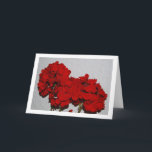 Carte Red Geranium Flowers, Floral Portrait<br><div class="desc">Red Geranium Flowers,  Floral Portrait Greeting Card. You can easily customize this product for free if you would like to add wording or change the color of the background.</div>