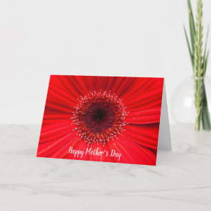 Carte Red Gerbera Daisy pour maman