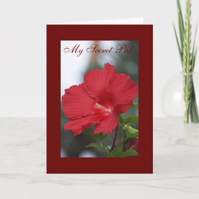 Carte Red Hibiscus, My Secret Pal (Devant)