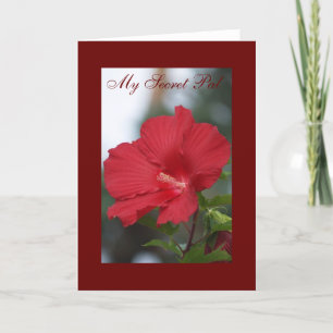 Carte Red Hibiscus, My Secret Pal
