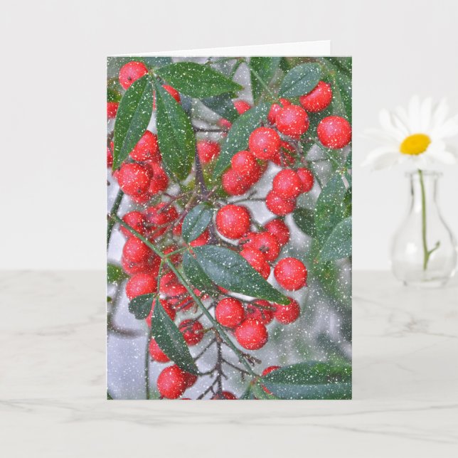 Carte Red Holly Berry Branch et Snow Holiday Christmas (Petite plante)