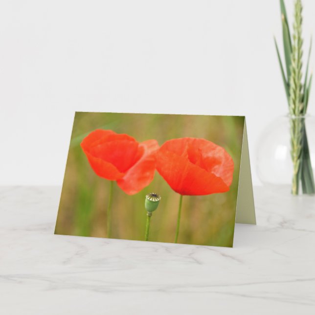 Carte Red Poppies de Hungary Greetingcard (Devant)