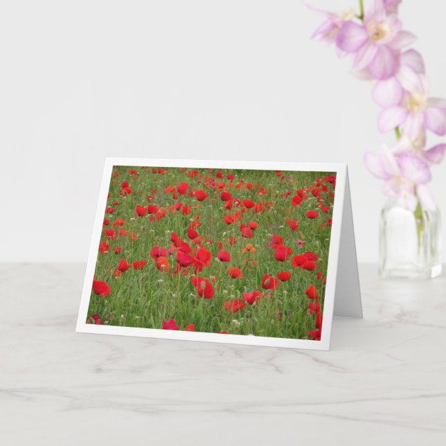 Carte Red Poppy Field Landscape Card (Orchidée)