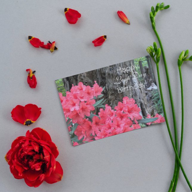Carte Red Rhododendrons Floral Leap Day Anniversaire (In Situ)